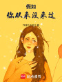 假如你從來沒來過