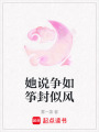 她說爭如箏封似風