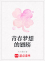 青春夢想的翅膀