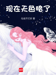 現(xiàn)在天色暗了