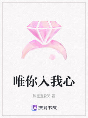 唯你入我心