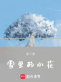 雪里的小花