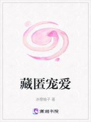 藏匿寵愛