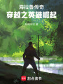 海拉魯傳奇：穿越之英雄崛起