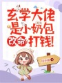 玄學(xué)大佬是小奶包,，改命？打錢,！