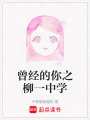 曾經的你之柳一中學