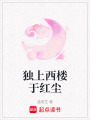 獨上西樓于紅塵