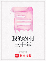 我的農村三十年