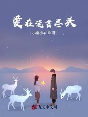 主角林十安陆宴修小说爱在谎言尽头免费阅读