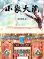 小家大院