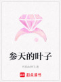 參天的葉子