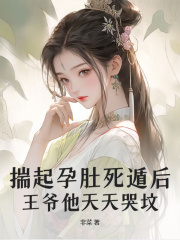 小说《揣起孕肚死遁后，王爷他天天哭坟》在线免费阅读-胖达文学
