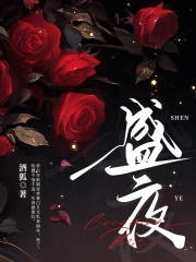 盛夜免费阅读（简明慧肖神）小说完结版-经典文学