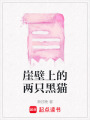 崖壁上的兩只黑貓