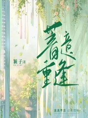 林丁柯恩成小说叫什么（蓄意重逢免费阅读）