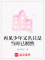 再見少年又名只是當時已惘然