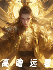 小说《高瞻远瞩》免费阅读