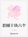 套圈十塊六個