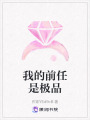 我的前任是極品