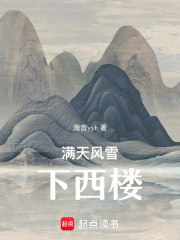 滿天風(fēng)雪下西樓