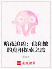 暗夜追兇：他和她的真相探索之旅