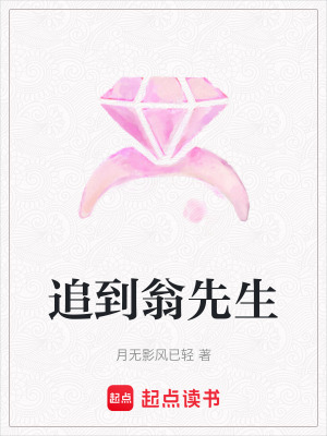 追到翁先生