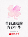 普普通通的青春年華