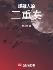 嫌疑人的二重奏