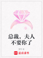 總裁，夫人不要你了