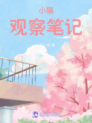小貓觀察筆記