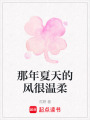 那年夏天的風很溫柔