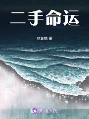 二手命運