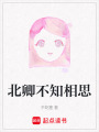 北卿不知相思