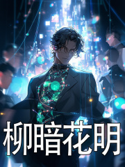 柳暗花明小说，柳暗花明在线阅读