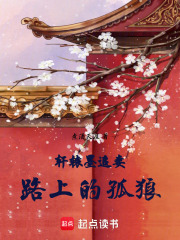 軒轅墨追妻路上的孤狼