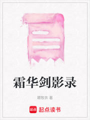 霜華劍影錄