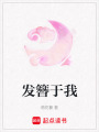 發簪于我