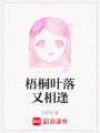 梧桐葉落又相逢