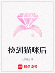 撿到貓咪后