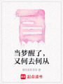 當夢醒了，又何去何從