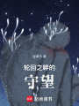 輪回之畔的守望