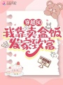 穿越80，我靠賣盒飯發家致富