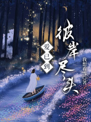 爱已到彼岸尽头顾雨兮陆景延小说阅读，爱已到彼岸尽头无删减版