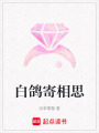 白鴿寄相思