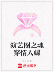 演藝圈之魂穿情人蝶