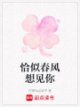 恰似春風想見你