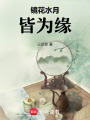鏡花水月皆為緣