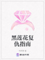 黑蓮花復仇指南