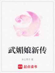 武媚娘新傳