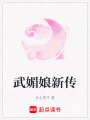 武媚娘新傳